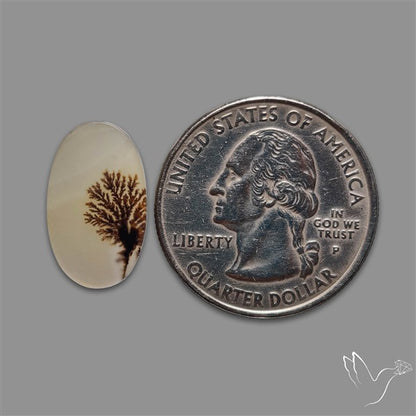 Scenic Agate Cabochon