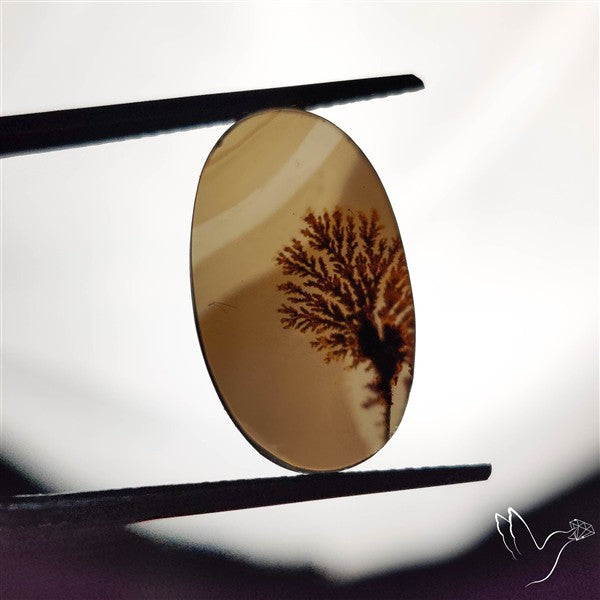 Scenic Agate Cabochon