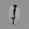 Scenic Agate Cabochon