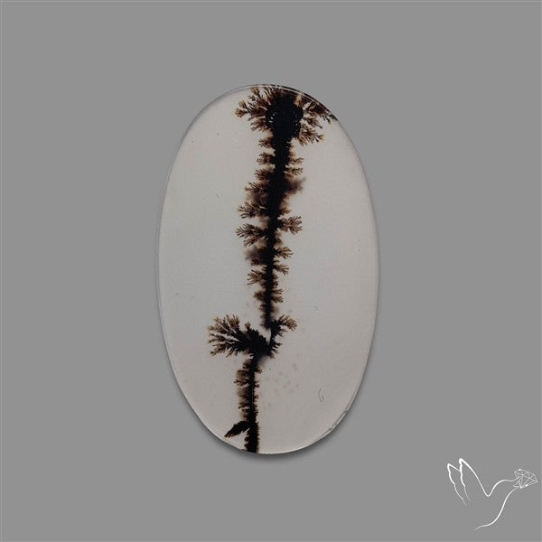Scenic Agate Cabochon