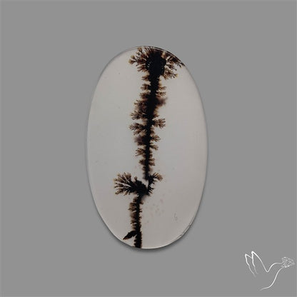 Scenic Agate Cabochon