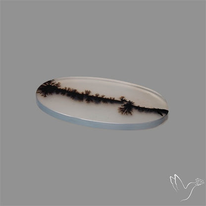 Scenic Agate Cabochon