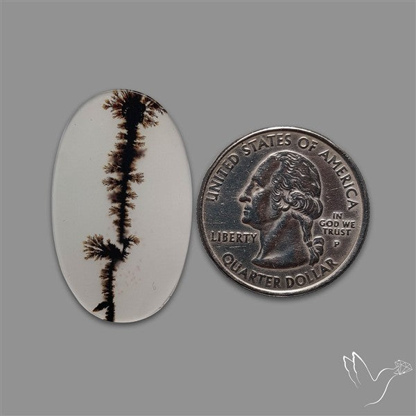 Scenic Agate Cabochon
