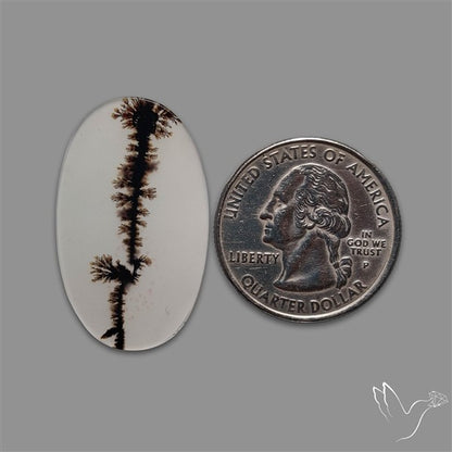 Scenic Agate Cabochon