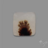 Scenic Agate Cabochon
