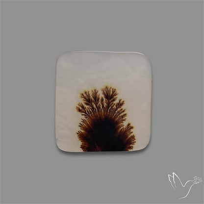 Scenic Agate Cabochon
