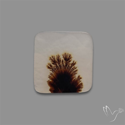Scenic Agate Cabochon