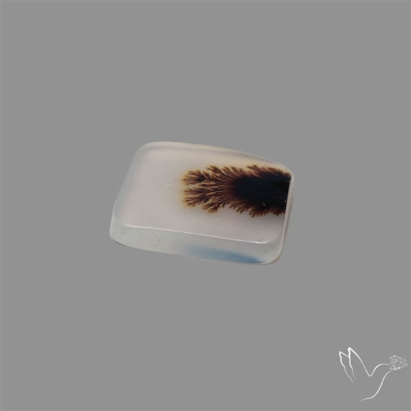 Scenic Agate Cabochon