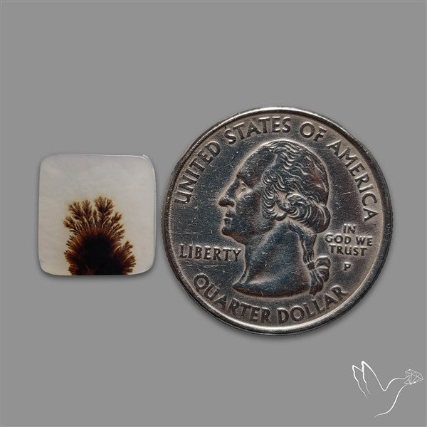 Scenic Agate Cabochon