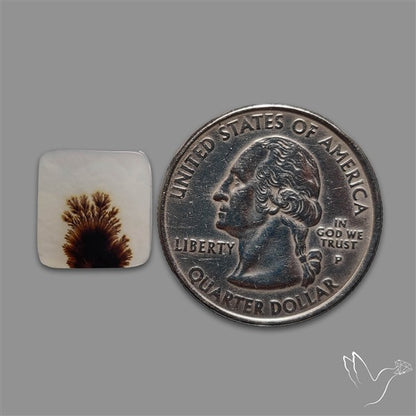Scenic Agate Cabochon