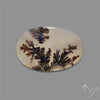 Scenic Agate Cabochon
