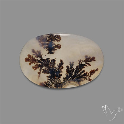 Scenic Agate Cabochon