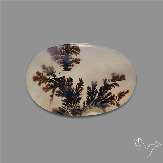 Scenic Agate Cabochon