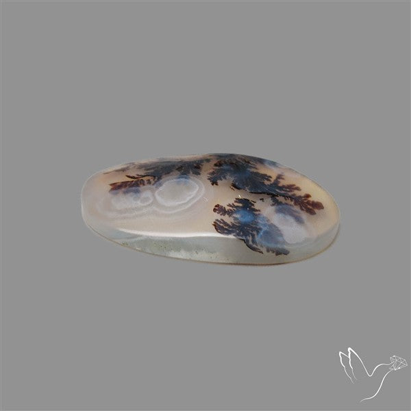 Scenic Agate Cabochon