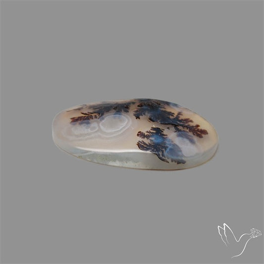 Scenic Agate Cabochon