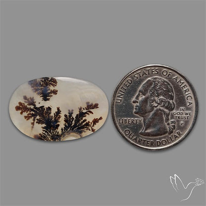 Scenic Agate Cabochon