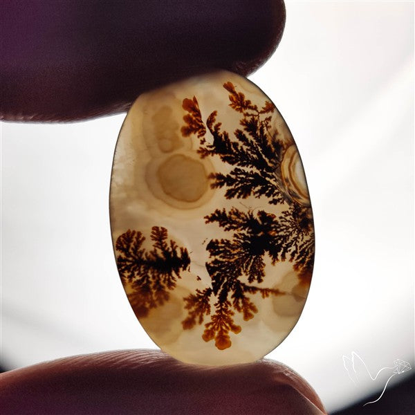 Scenic Agate Cabochon