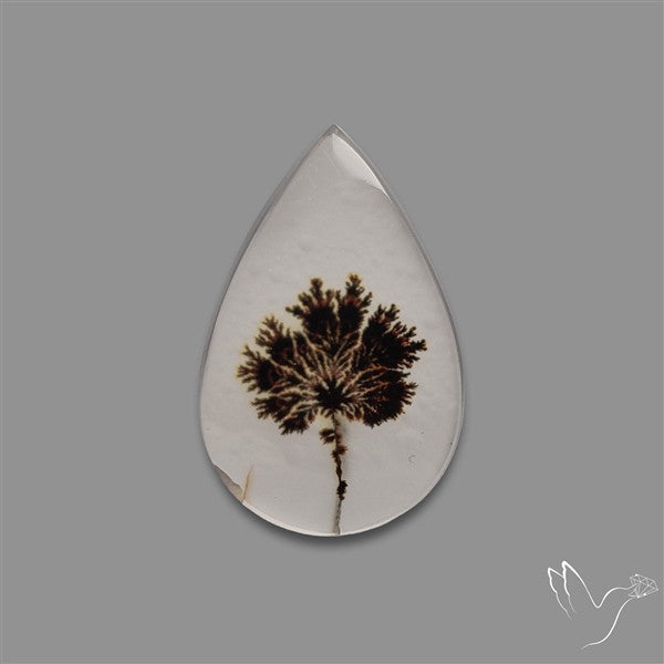 Scenic Agate Cabochon