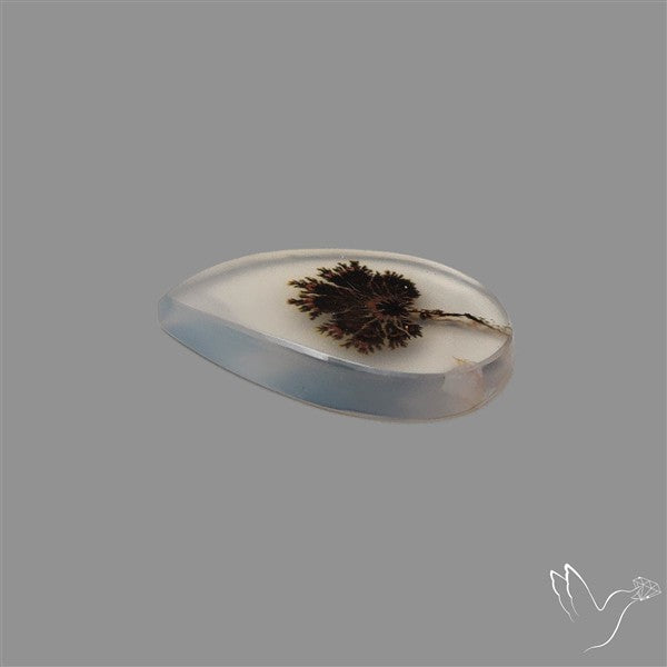 Scenic Agate Cabochon