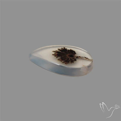 Scenic Agate Cabochon