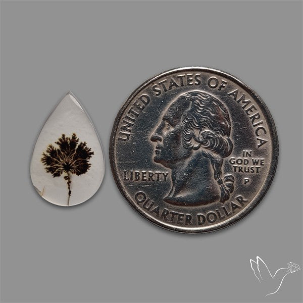 Scenic Agate Cabochon