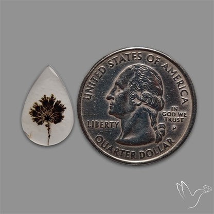 Scenic Agate Cabochon