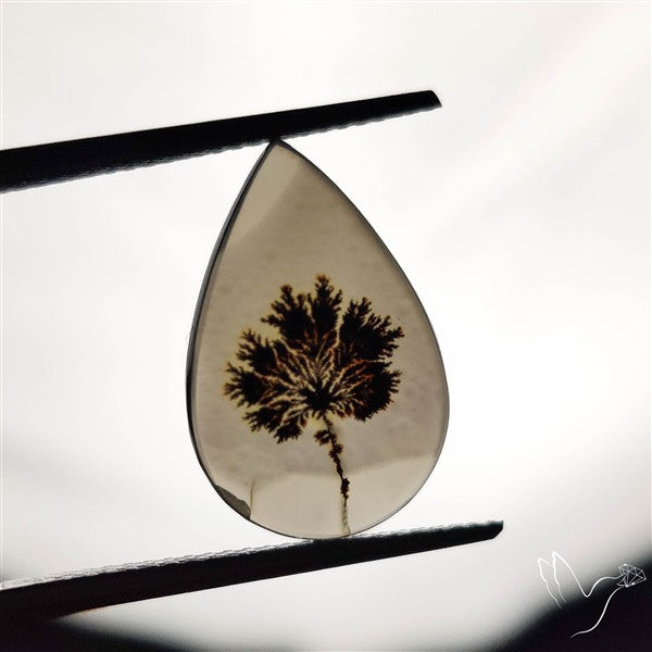 Scenic Agate Cabochon