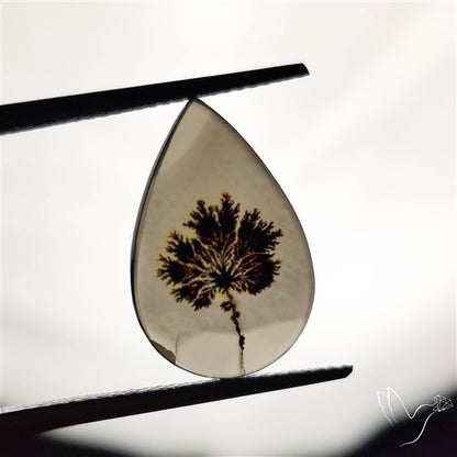Scenic Agate Cabochon