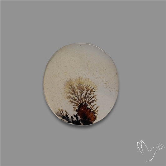 Scenic Agate Cabochon
