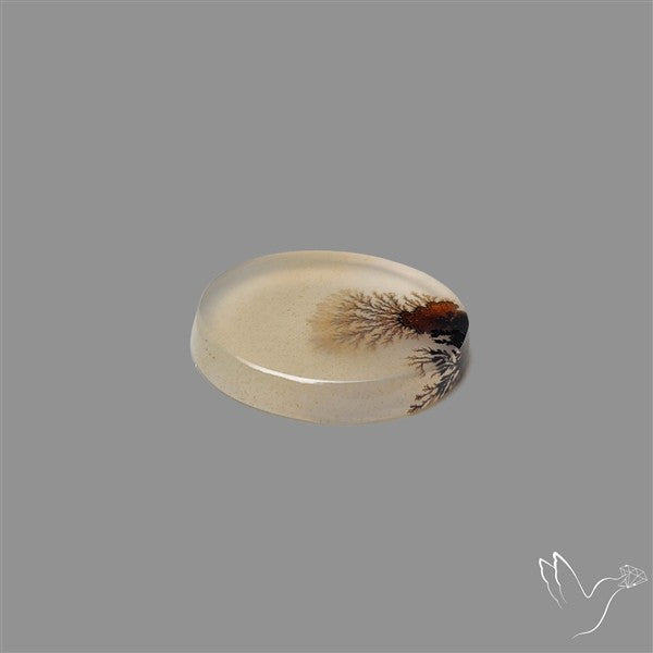 Scenic Agate Cabochon