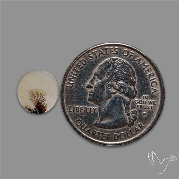Scenic Agate Cabochon