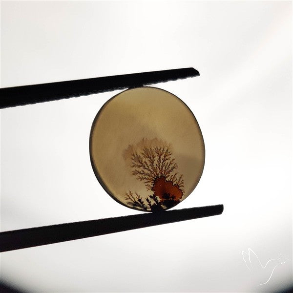 Scenic Agate Cabochon