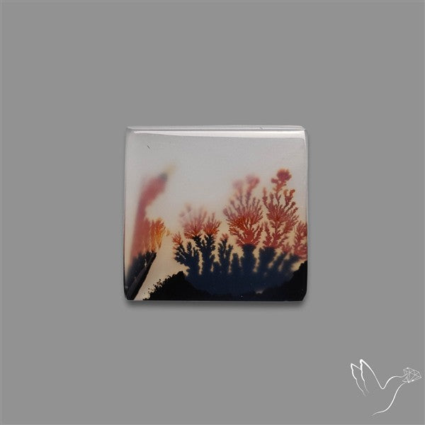 Scenic Agate Cabochon