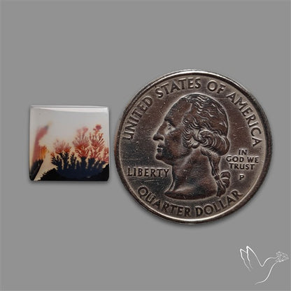 Scenic Agate Cabochon