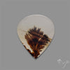 Scenic Agate Cabochon