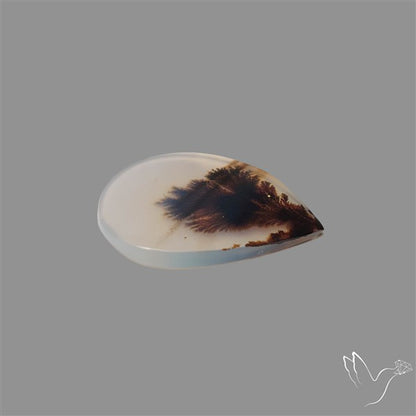 Scenic Agate Cabochon