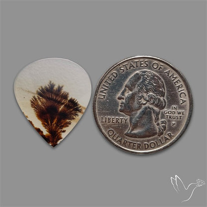 Scenic Agate Cabochon