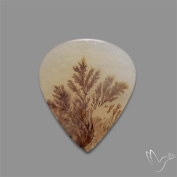 Scenic Agate Cabochon
