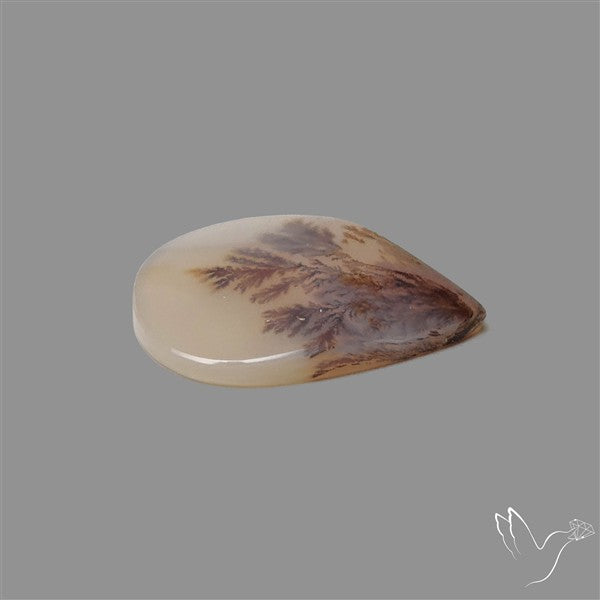 Scenic Agate Cabochon