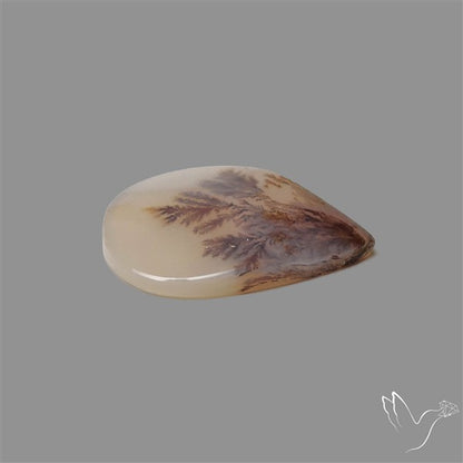 Scenic Agate Cabochon
