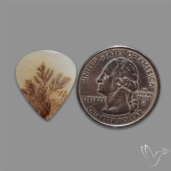 Scenic Agate Cabochon
