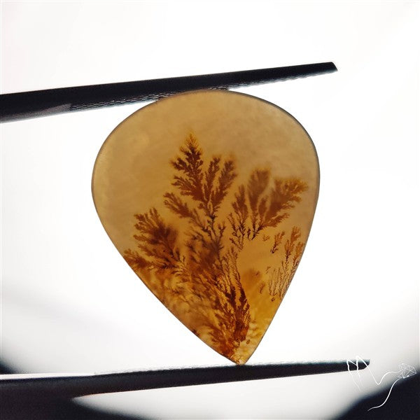 Scenic Agate Cabochon