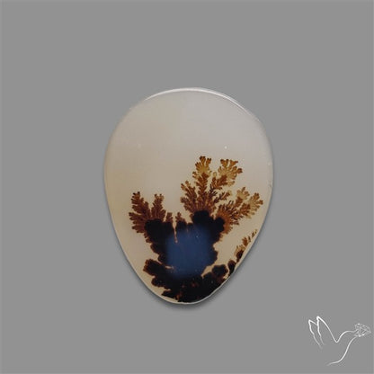 Scenic Agate Cabochon