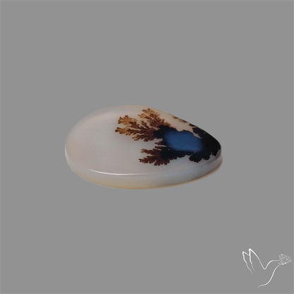 Scenic Agate Cabochon