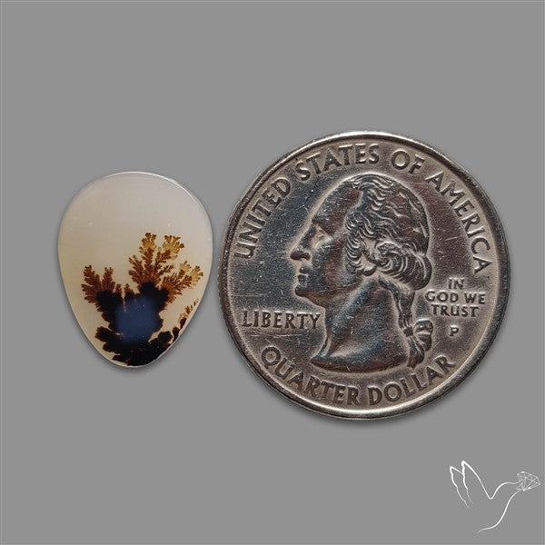 Scenic Agate Cabochon