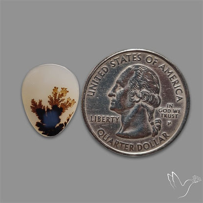 Scenic Agate Cabochon