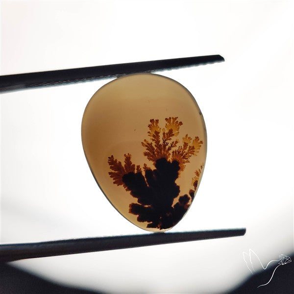 Scenic Agate Cabochon