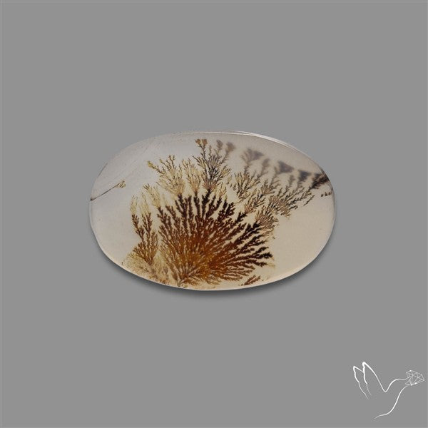 Scenic Agate Cabochon