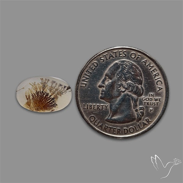 Scenic Agate Cabochon