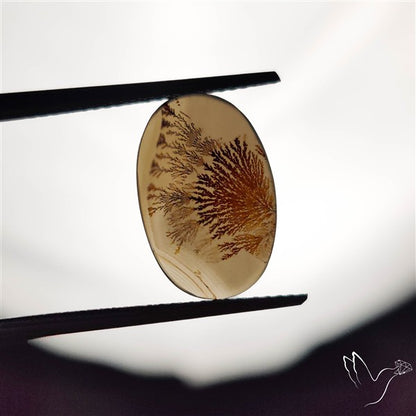 Scenic Agate Cabochon